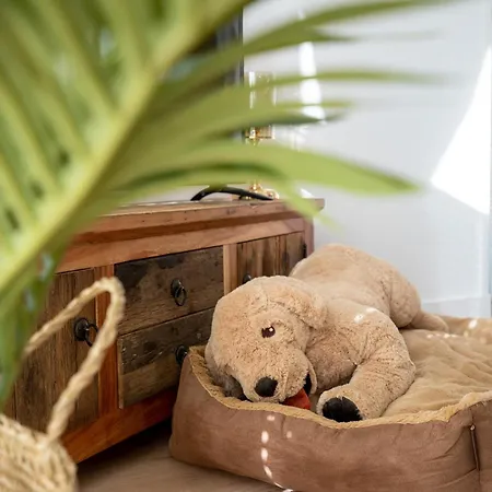 Ostseecamp Seehund בית נופש