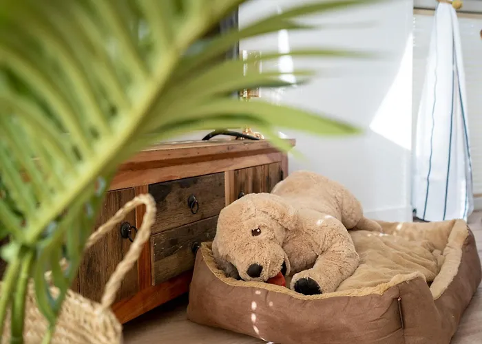 Ostseecamp Seehund Semesterbostad